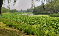 20170528 游于北京通州大运河森林公园