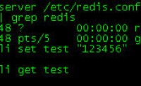 Redis以及Redis的php扩展安装无错版